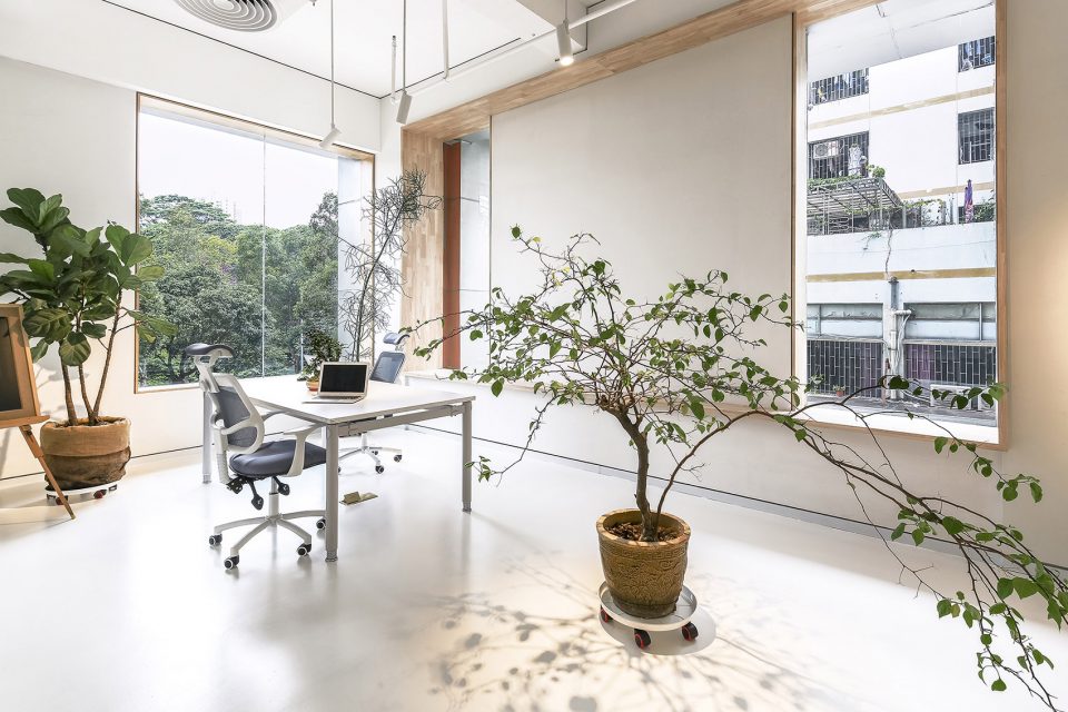 辦公室綠植裝修設計
